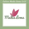 Cultivo Media Loma S.A.S