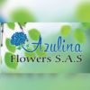 Azulina Flowers SAS