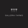 Galleria Farms S.A