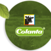 Colanta